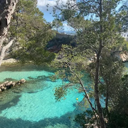 Senese Peguera